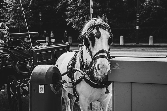 IMG_6846