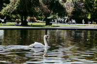 IMG_6898