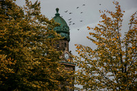 IMG_6931