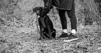 IMG_2422